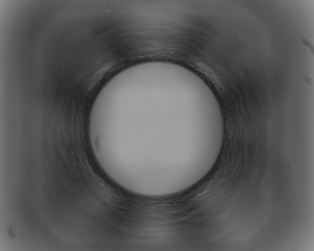 X0000091990693200709061221