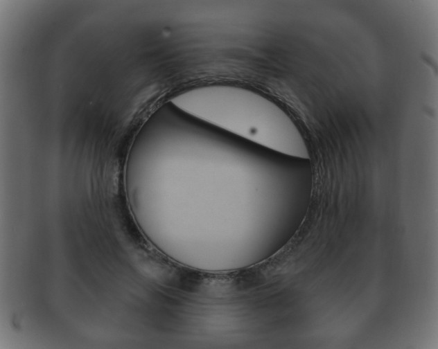 X0000091990694200709061221