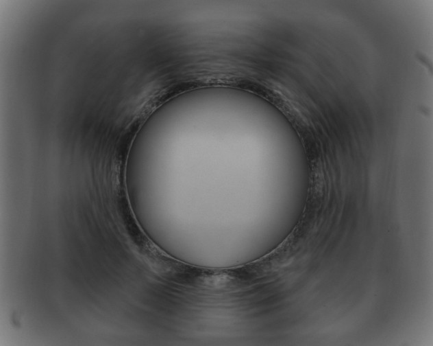 X0000091990695200709061221