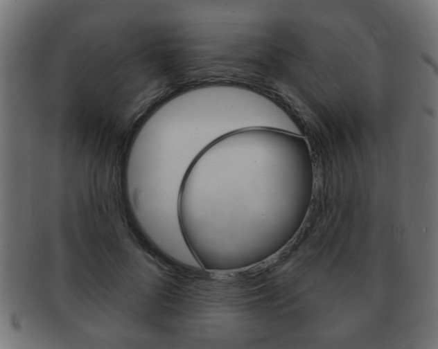 X0000091990696200709061221