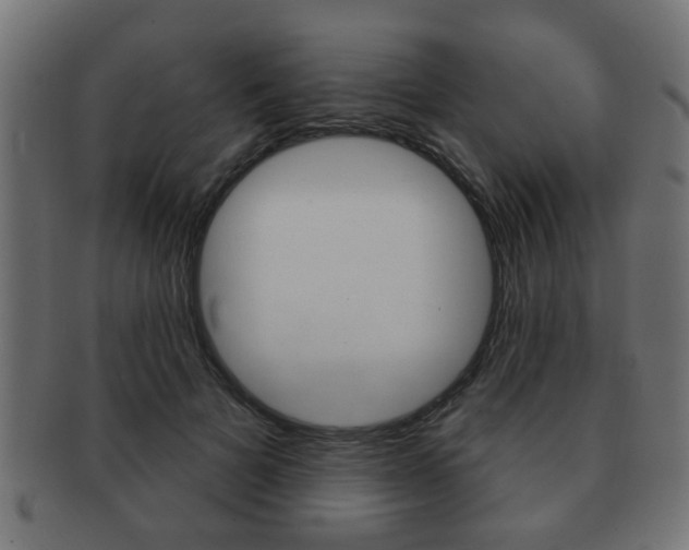 X0000091990697200709061221