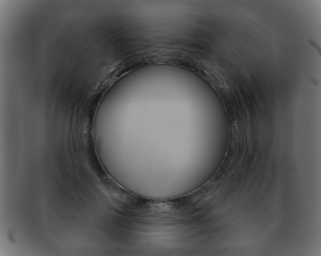 X0000091990698200709061221