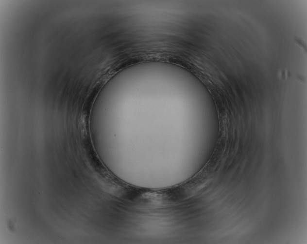 X0000091990699200709061221