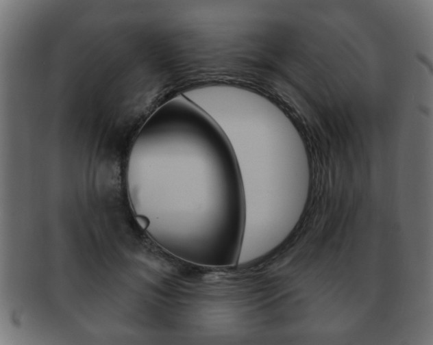 X0000091990700200709061221