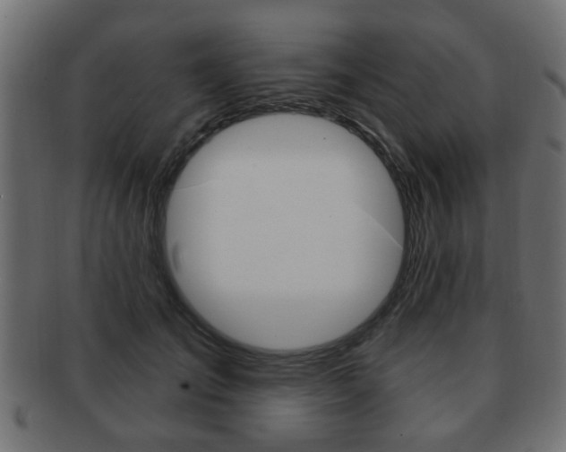 X0000091990701200709061221