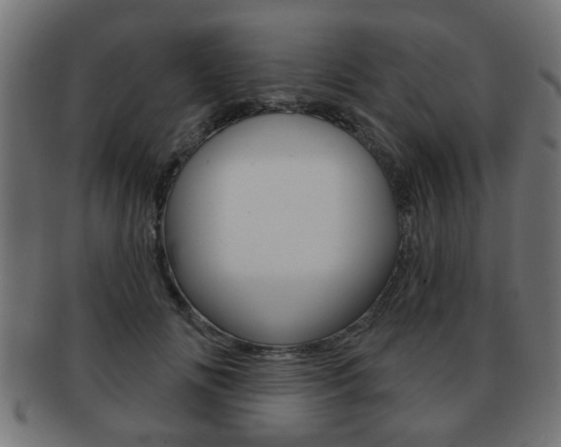 X0000091990702200709061221