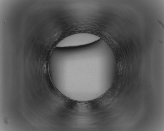 X0000091990703200709061221