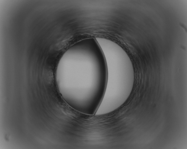 X0000091990704200709061221