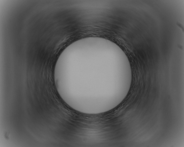 X0000091990705200709061221
