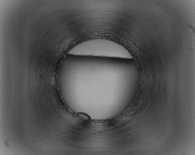 X0000091990706200709061221