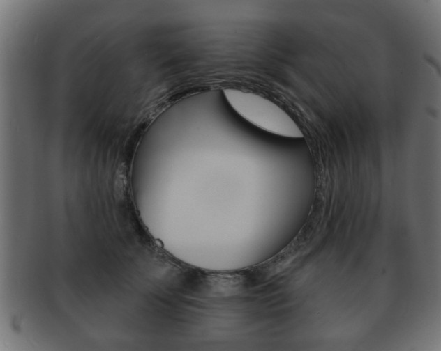 X0000091990707200709061221