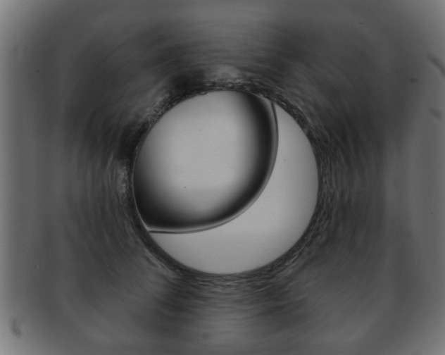 X0000091990708200709061221