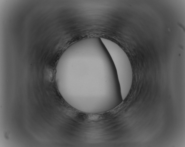X0000091990709200709061221