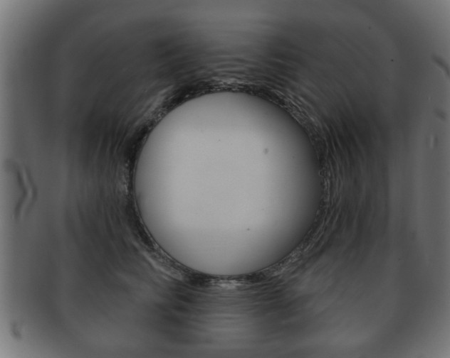 X0000091990710200709061221