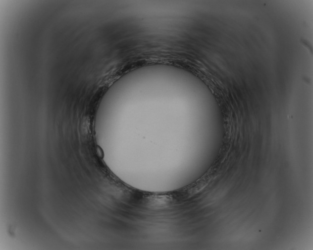 X0000091990711200709061221