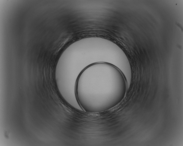 X0000091990712200709061221