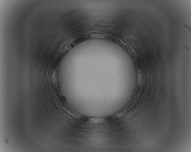 X0000091990713200709061221