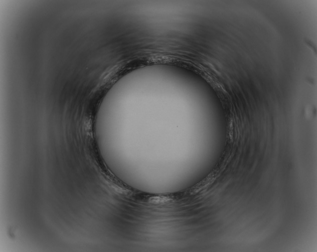 X0000091990714200709061221