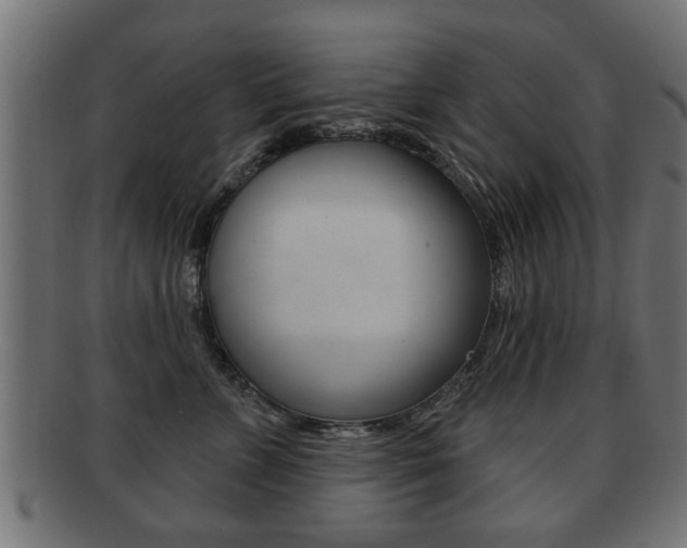 X0000091990715200709061221