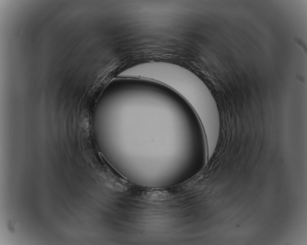 X0000091990716200709061221