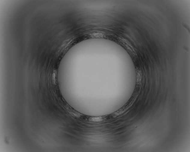 X0000091990717200709061221