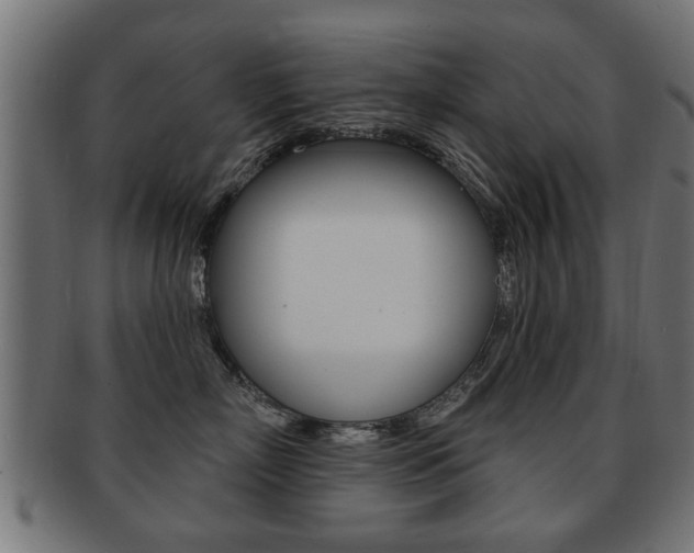X0000091990718200709061221