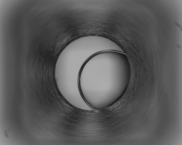 X0000091990720200709061220