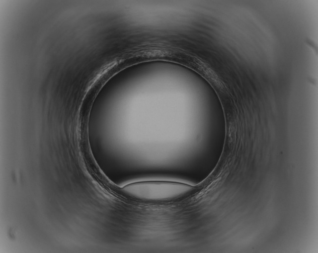 X0000091990722200709061220