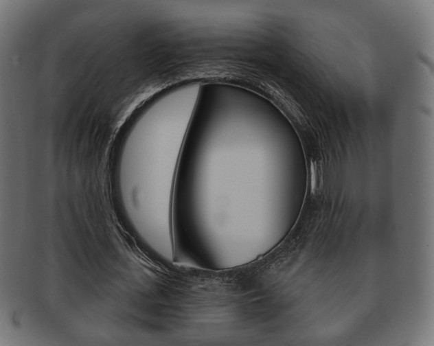 X0000091990723200709061220