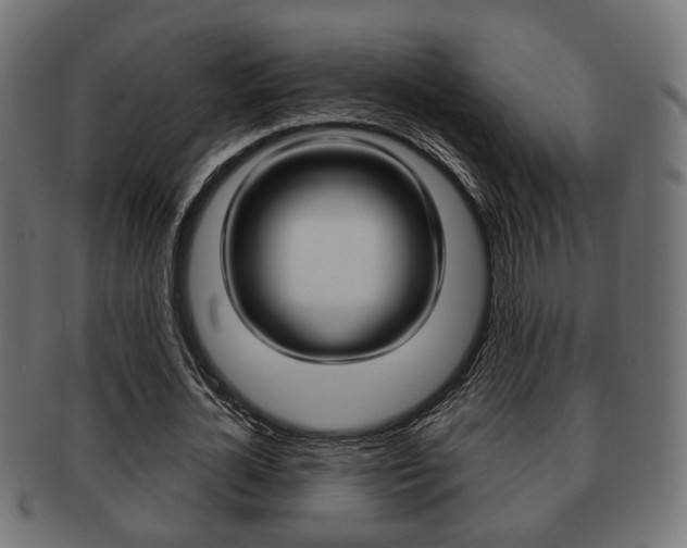 X0000091990724200709061220