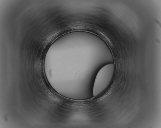 X0000091990725200709061220