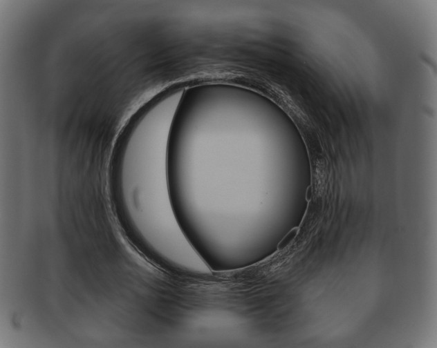 X0000091990726200709061220