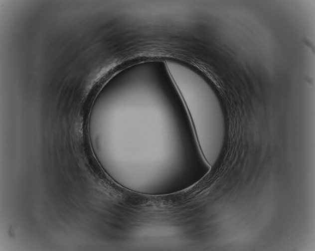 X0000091990727200709061220