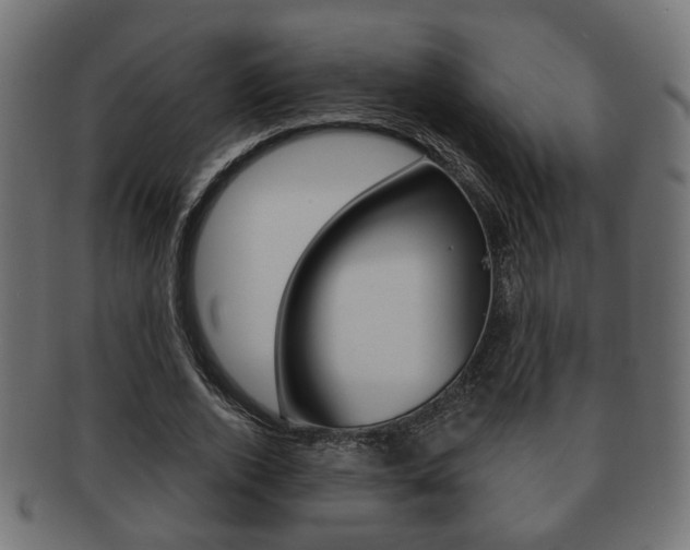 X0000091990728200709061220