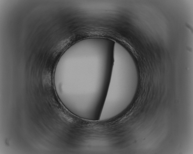 X0000091990729200709061220