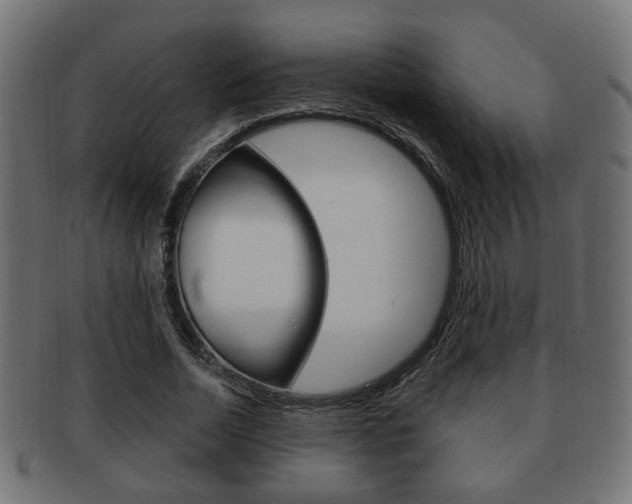 X0000091990730200709061220