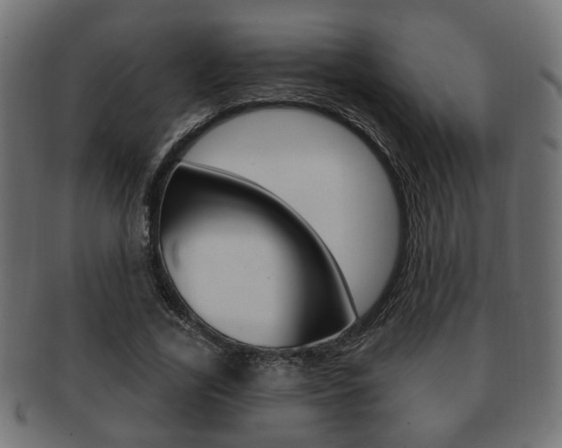 X0000091990731200709061220