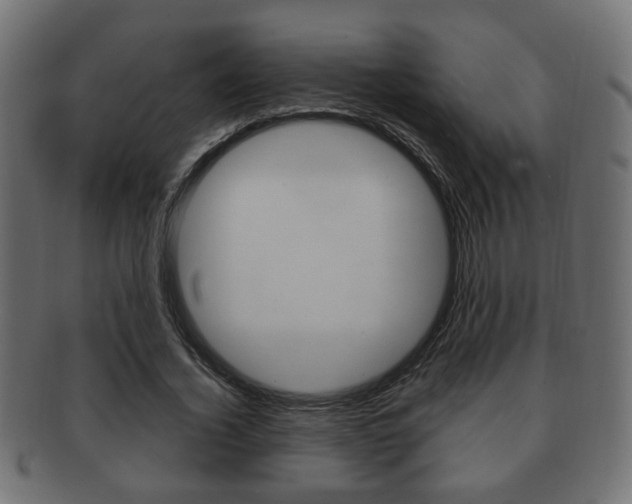 X0000091990732200709061220