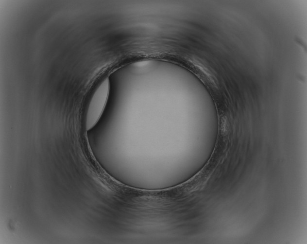 X0000091990733200709061220