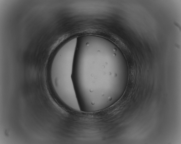 X0000091990734200709061220