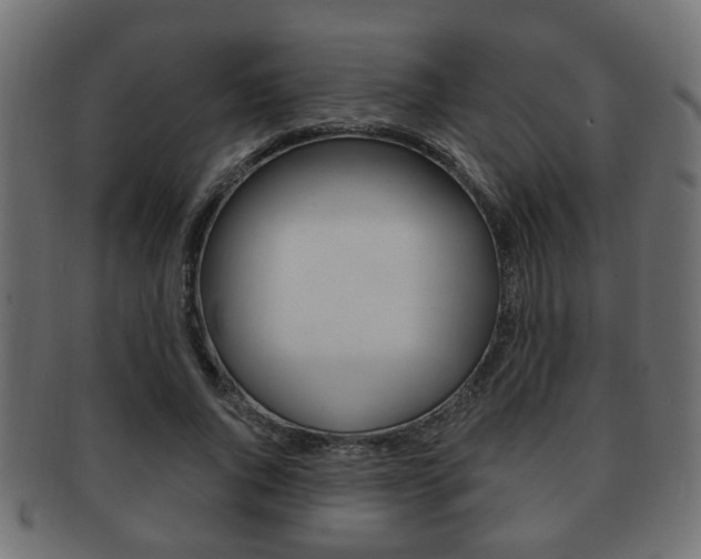 X0000091990736200709061220