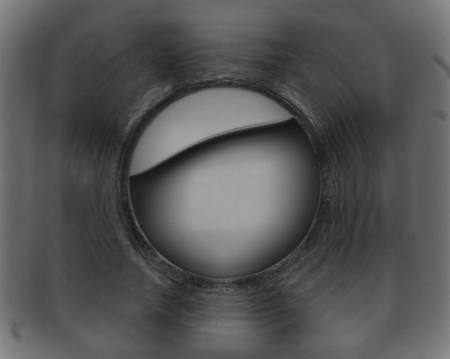 X0000091990738200709061220