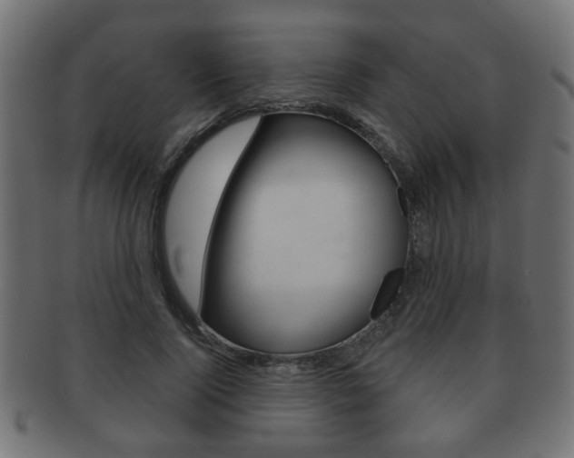 X0000091990740200709061220