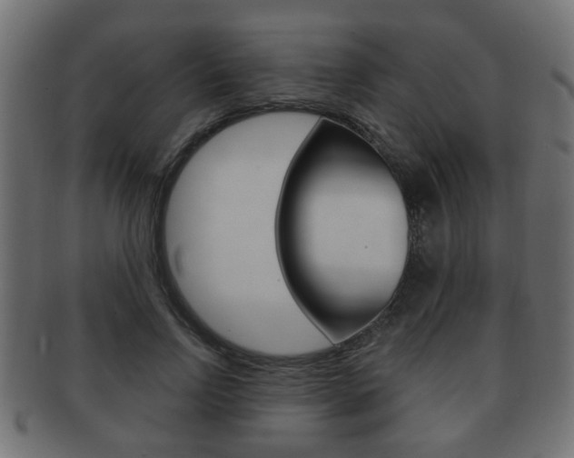 X0000091990742200709061220