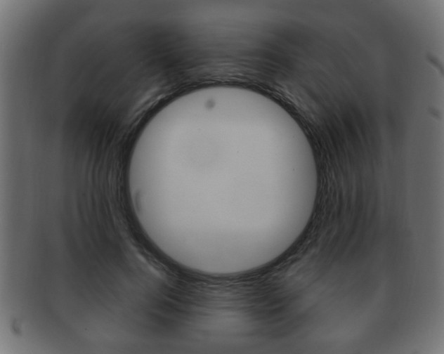 X0000091990744200709061220