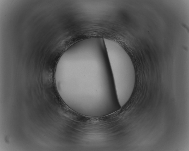 X0000091990745200709061220