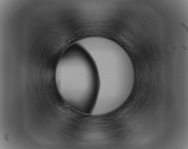 X0000091990747200709061220