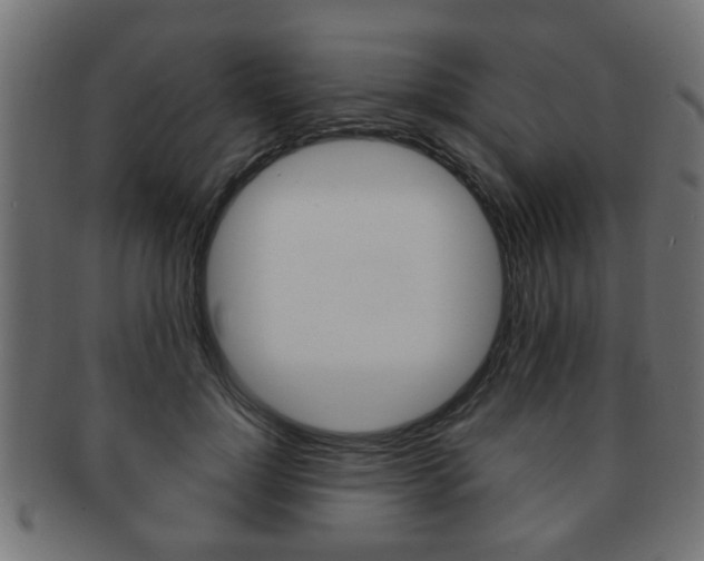 X0000091990748200709061220