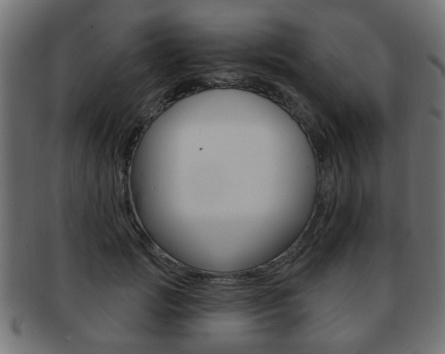 X0000091990749200709061220