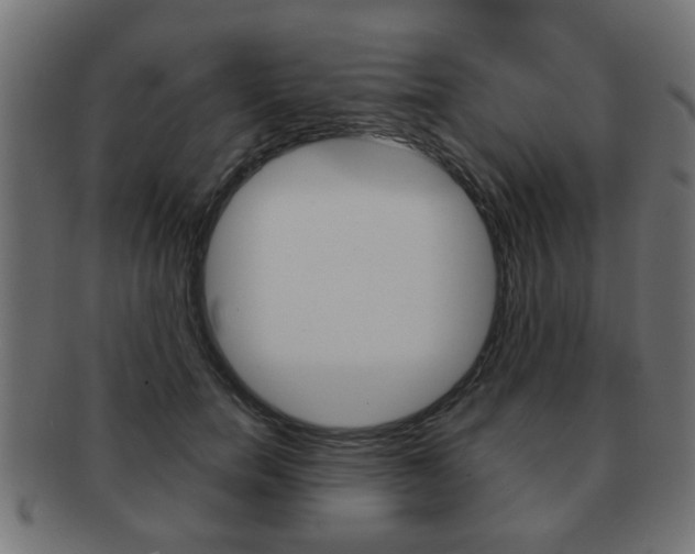 X0000091990750200709061220